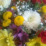 Marcia Spring - @marcia.spring.10 - Instagram