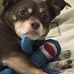 Marcia Springer - Facebook