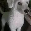 marci - @marciaterr - TikTok