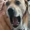 marciatharp - @marciatharp - TikTok