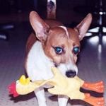Marsha Tomlin - @wwtmkt - Instagram