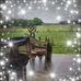 Marcia Vance - Facebook
