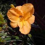 Marcia Walters - @marcia.walters.754 - Instagram