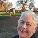 marcia.walters - @marcia_walters.33 - Instagram