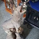 Marcia Ware - @waremarcia - Instagram