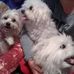 Marcia Webb - Facebook