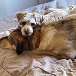 Marcia Wilcox Gorman - @marciagorman - Instagram