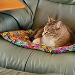 Marcia Wise - @marcytheknitter - Instagram