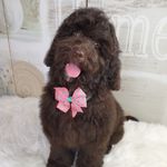 Marcia Wise - @missharri_ette - Instagram