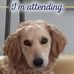 Marcia Wise - Facebook