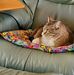 Marcia Wise - Facebook