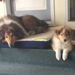 Marcia Wiseman - @wiseman.marcia - Instagram