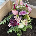Marcia Yoder - Facebook