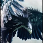 Marcial Gomez - @magic_man_1973 - Instagram