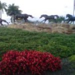 Marcial Trejo - @mtrejo11 - Instagram