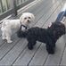 Marcie Barber - Facebook