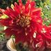 Marcie Barber - Facebook