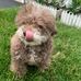 Marcy Crowe - Facebook