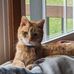 Marcie Davidson - Facebook