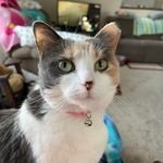 Marcie 'Gwaltney' Davidson - @mdavidson943 - Instagram