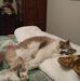 Marcy Dunham - Facebook