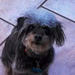 Marcie Fox - @mfoxrocks53 - Instagram