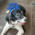 Marcie Jackson Smith - @marcie_719 - Instagram