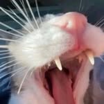 Marcie Mannon - @marcie.mannon - Instagram