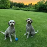 Marciemanning - @marciemanning1 - Instagram