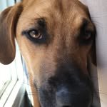 Marcie - @marcie_may_ - Instagram