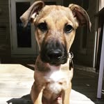 Marcie May - @marciemaypadookiebanks - Instagram