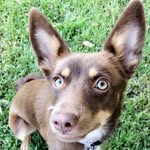 Marcie May - @marciemay.435 - Instagram