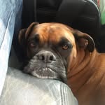 Marcie May - @marciemayflower - Instagram
