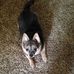 Marcie Ryan - Facebook