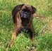 Marcie Spell Ryan - Facebook