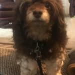 Marcia Waters - @marciawaters8260 - Instagram