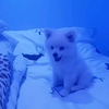 Marcin Kowalski - @marcinkowalski258 - TikTok