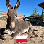 Mar Cin - @marcin.wojtkowski.9 - Instagram