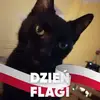 Marcin Zarzycki795 - @marcinzarzycki795 - TikTok