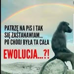 Marcin Zarzycki - @marcin.zarzycki.501 - Instagram