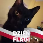 Marcin Zarzycki - @zarzycki264 - Instagram