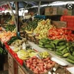 marcio castillo - @maraca.com02 - Instagram