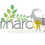 Marcio Castillo - @marceliagroindustrial - Instagram