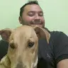 marcio david - @marciodavid13 - TikTok