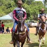 Marcio David | Treinador de cavalos - @marciodavid8 - Instagram