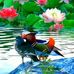 Sapan Marak - Facebook