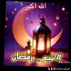 Marco Abed - @marco.abed - TikTok