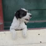 Marco Aburto - Facebook