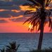 Marco Alicea - Facebook