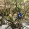 marco alva - @user3776507816095 - TikTok